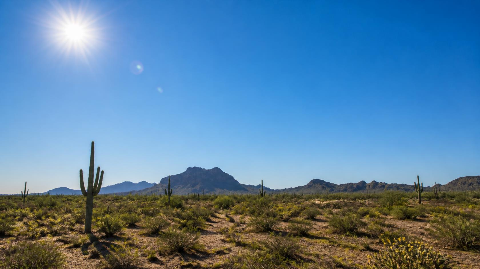 How Arizona’s Extreme Heat Can Affect Your Rental Property